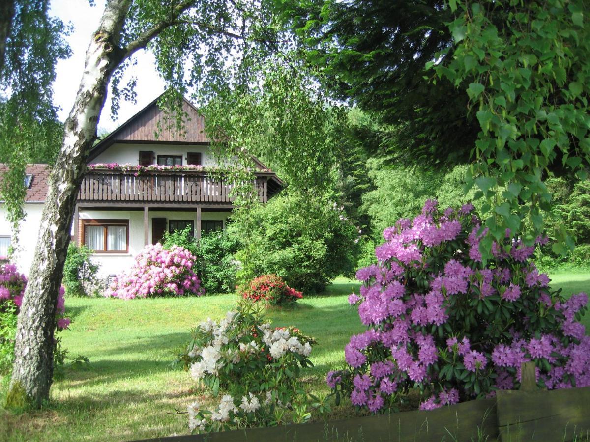 Haus Am Wald - Urlaub Am Nationalpark Apartment Langweiler  Ngoại thất bức ảnh